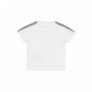 LCB LACOSTE TAPING TEE FARINE