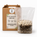 Kit de Autocultivo de Shiitake | Coffee Fungi
