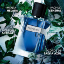 Yvessaintlaurent Y Men Iced Cologne Eau de Toilette