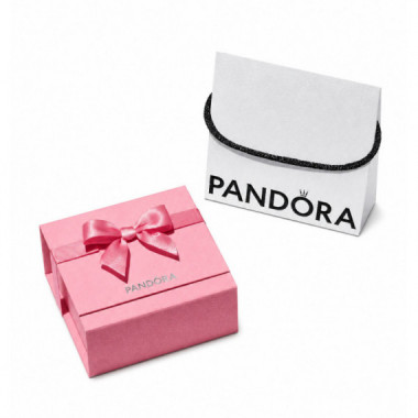 Caja de Regalo Pandora Rosa Premium