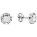 PENDIENTES PLATEADOS
