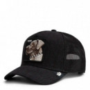 GORRA PUNK DAWG