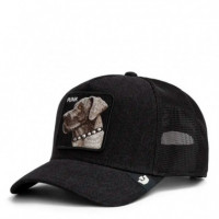 Gorra Punk Dawg  GOORIN BROS