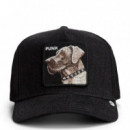 GORRA PUNK DAWG