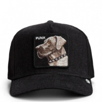 Gorra Punk Dawg  GOORIN BROS
