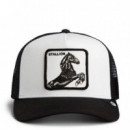 GORRA STALLION