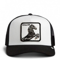 Gorra Stallion  GOORIN BROS