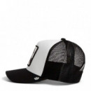 GORRA STALLION