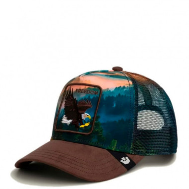 GORRA EAGLE IN THE ELEMENT