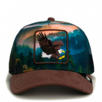 Gorra Eagle In The Element  GOORIN BROS