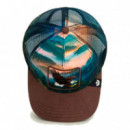 GORRA EAGLE IN THE ELEMENT