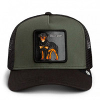 Gorra Bad Boy  GOORIN BROS