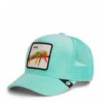 Gorra Terry Cloth Iguana  GOORIN BROS