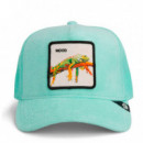 GORRA TERRY CLOTH IGUANA