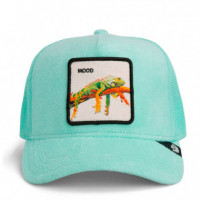Gorra Terry Cloth Iguana  GOORIN BROS