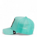 GORRA TERRY CLOTH IGUANA