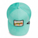 GORRA TERRY CLOTH IGUANA