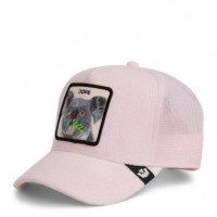 Gorra Terry Cloth Koala  GOORIN BROS