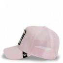 GORRA TERRY CLOTH KOALA