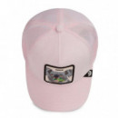 GORRA TERRY CLOTH KOALA