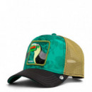 GORRA  BELIZE TOUCAN