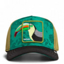 GORRA  BELIZE TOUCAN