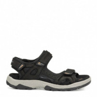 FLUCHOS Sandalias Missouri Negras F2410-VEGABUCK Negro