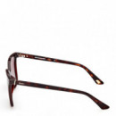 Gafas De Sol  SE00168