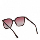 Gafas De Sol  SE00168