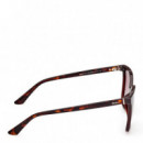 Gafas De Sol  SE00168