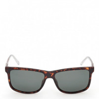 Gafas de Sol SE00175  SKECHERS