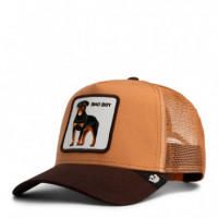 GORRA  BAD BOY