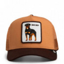 GORRA  BAD BOY