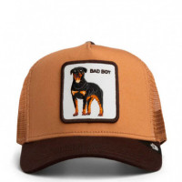 GORRA  BAD BOY