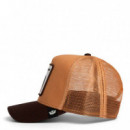 GORRA  BAD BOY