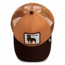 GORRA  BAD BOY
