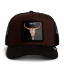 GORRA DEAD SKULL