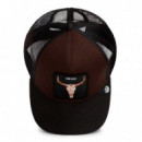 GORRA DEAD SKULL