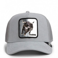 GORRA SILVER BULL