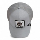 Gorra Silver Bull  GOORIN BROS