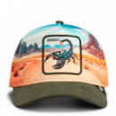 GORRA SCORPION IN THE ELEMENT