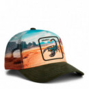GORRA SCORPION IN THE ELEMENT