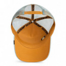 GORRA EAGLE LIGHT