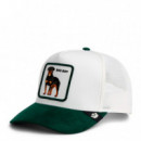 GORRA BAD BOY