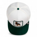 GORRA BAD BOY