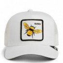 GORRA QUEEN TRUCKER