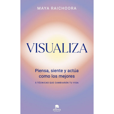 Visualiza   2026