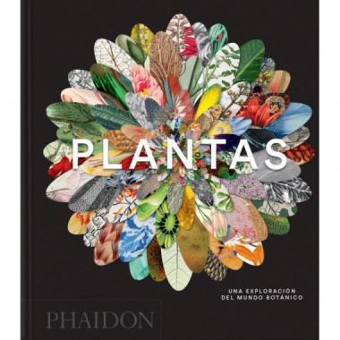 PLANTAS