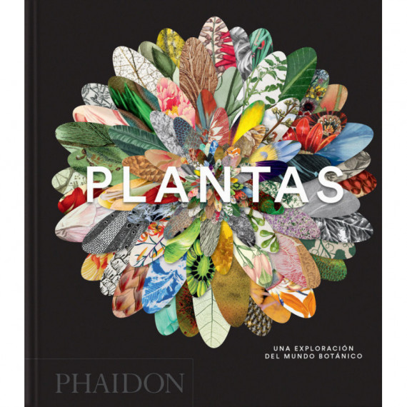 PLANTAS