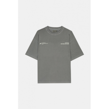 Camiseta Esenzia Pale Dream tee